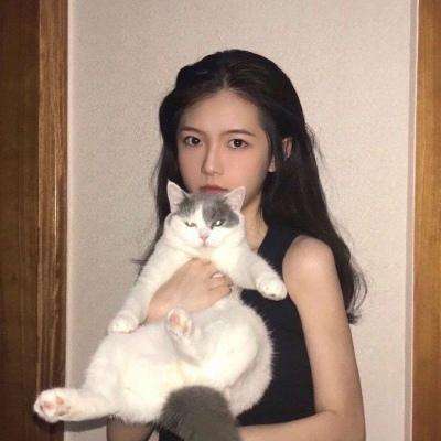 乱世江湖新快手游下载
